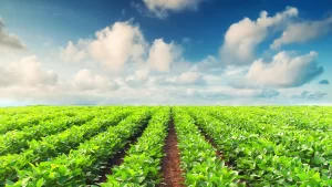 Imagem horizontal da seção "Hero" do site.